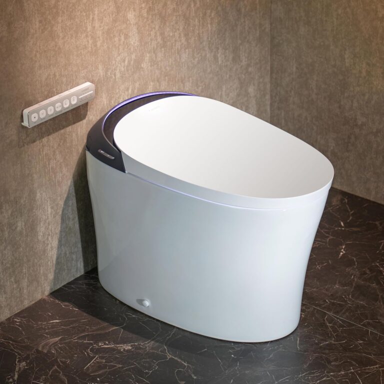 CANEST Smart Toilet Review: Honest Pros & Cons Tested 25 Image 1 of CANEST smart toilet review