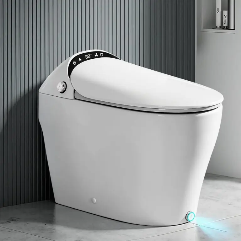 Royalbath Smart Toilet Review: Honest Pros & Cons 37 Image 1 of Royalbath smart toilet review