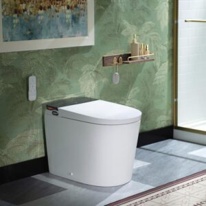 Image 1 of WOODBRIDGE GT076 smart toilet review