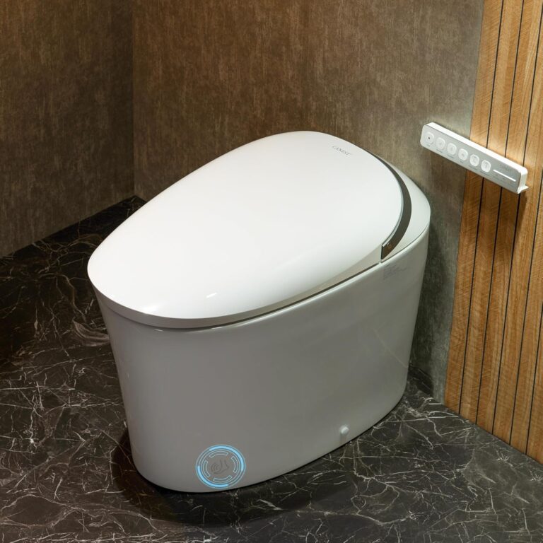 CANEST TC-500PRO Smart Toilet Review: Our Honest Verdict 36 Image 1 of CANEST TC-500PRO smart toilet review